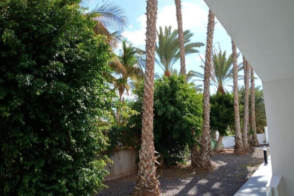 Appartamento Las Palmas Tarajalejo Exterior photo